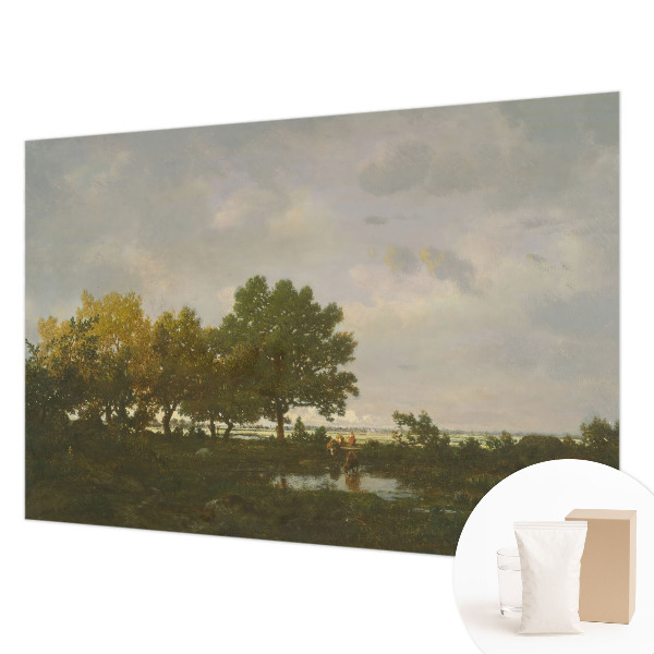 Vliesová fototapeta s potlačou Lesná krajina