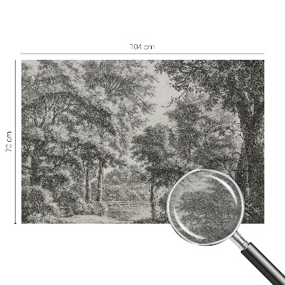 Fototapeta na mieru do spálne Lesná scenéria