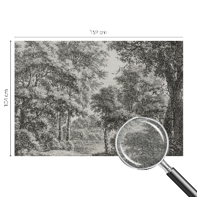 Fototapeta na mieru do spálne Lesná scenéria