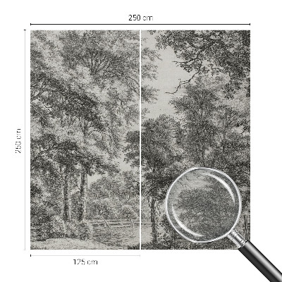 Fototapeta na mieru do spálne Lesná scenéria