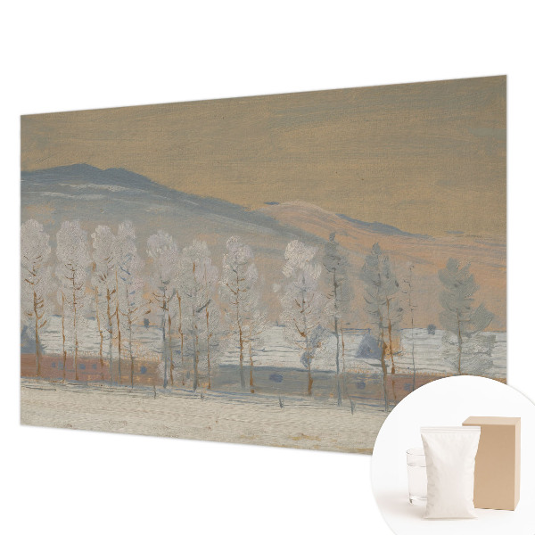 Vliesová fototapeta do obývačky Zimná scenéria