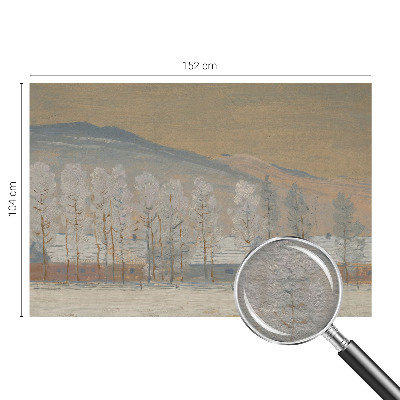 Vliesová fototapeta do obývačky Zimná scenéria