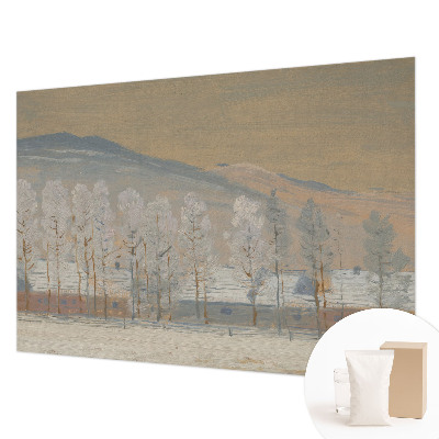 Vliesová fototapeta do obývačky Zimná scenéria