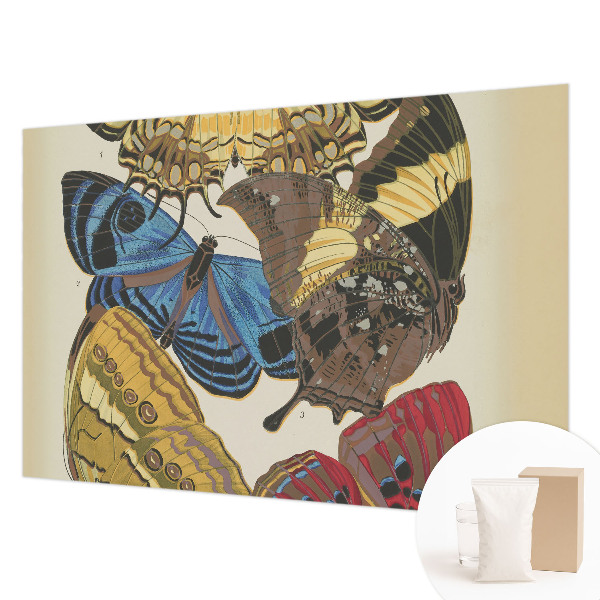 Vliesová fototapeta do spálne Inšpirácia motýľmi