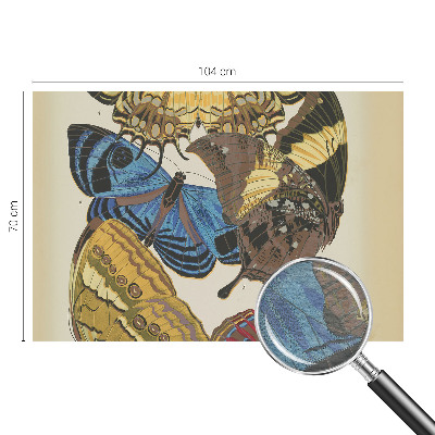 Vliesová fototapeta do spálne Inšpirácia motýľmi