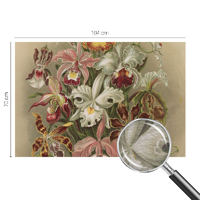 Vliesová fototapeta pre deti Kvetinová elegancia