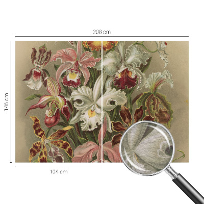 Vliesová fototapeta pre deti Kvetinová elegancia