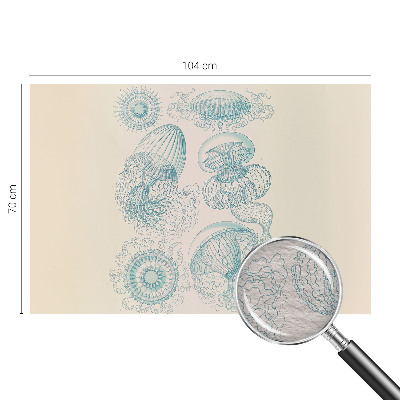 Fotografická tapeta vliesová Morské medúzy