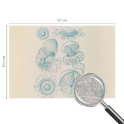 Fotografická tapeta vliesová Morské medúzy