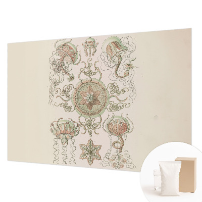 Fotografická tapeta na vliese Podvodný svet