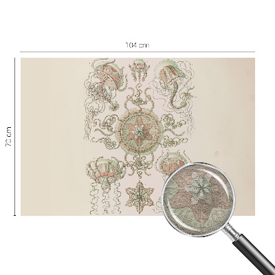 Fotografická tapeta na vliese Podvodný svet