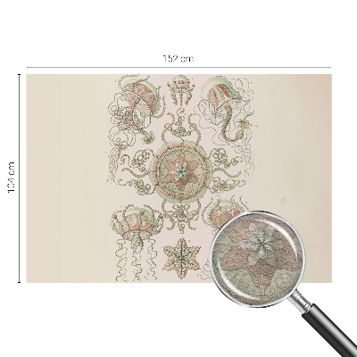 Fotografická tapeta na vliese Podvodný svet