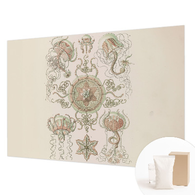 Fotografická tapeta na vliese Podvodný svet