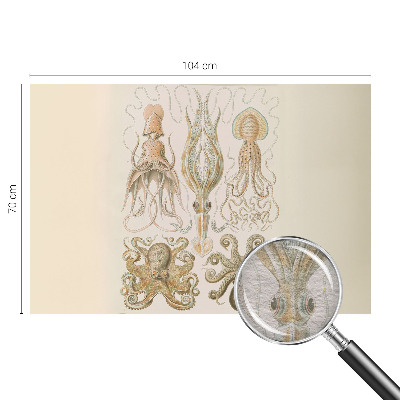 Fototapeta s potlačou na vliese Morský život