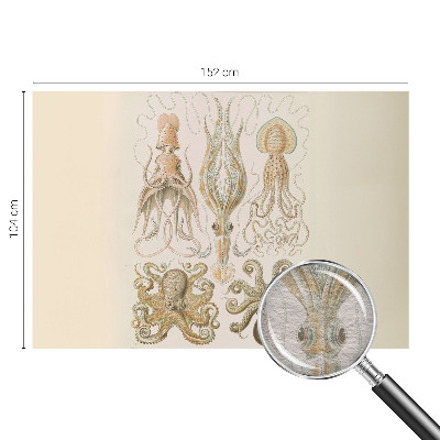 Fototapeta s potlačou na vliese Morský život