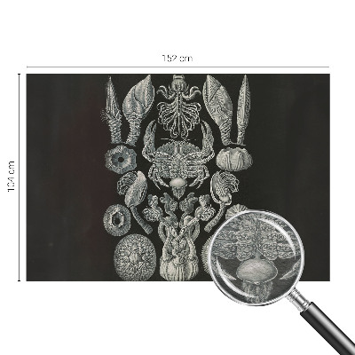 Vliesová fototapeta s potlačou Podvodné formy