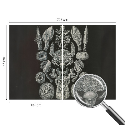 Vliesová fototapeta s potlačou Podvodné formy