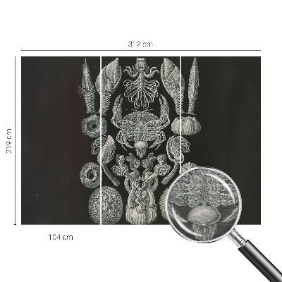 Vliesová fototapeta s potlačou Podvodné formy