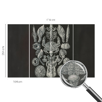 Vliesová fototapeta s potlačou Podvodné formy