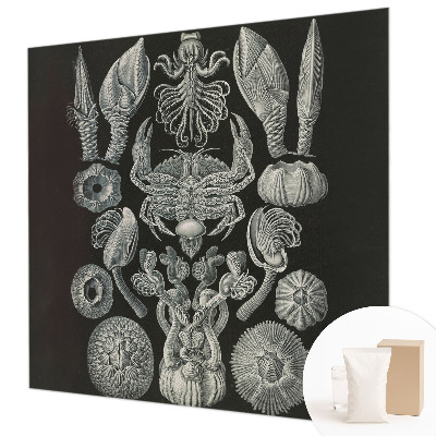 Vliesová fototapeta s potlačou Podvodné formy