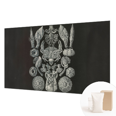 Vliesová fototapeta s potlačou Podvodné formy