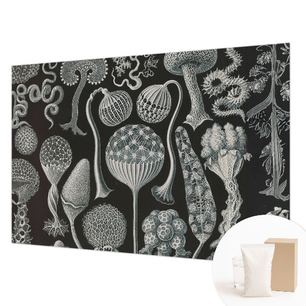 Dekoratívna fototapeta na stenu Magické rastliny