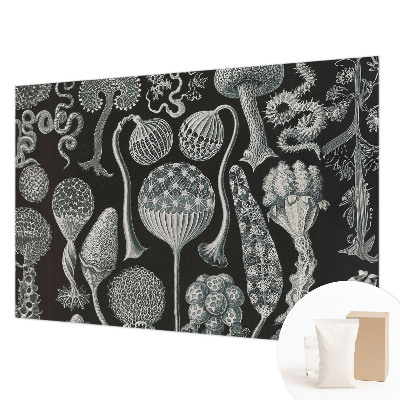 Dekoratívna fototapeta na stenu Magické rastliny