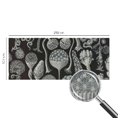 Dekoratívna fototapeta na stenu Magické rastliny