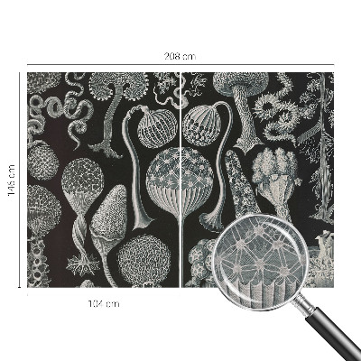 Dekoratívna fototapeta na stenu Magické rastliny