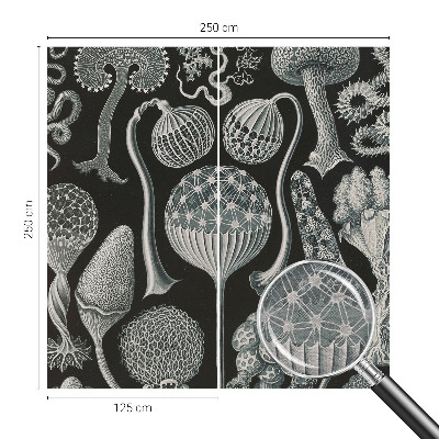 Dekoratívna fototapeta na stenu Magické rastliny