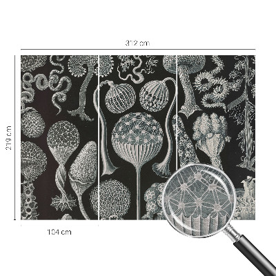 Dekoratívna fototapeta na stenu Magické rastliny