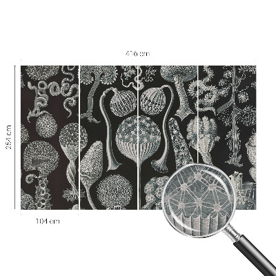 Dekoratívna fototapeta na stenu Magické rastliny