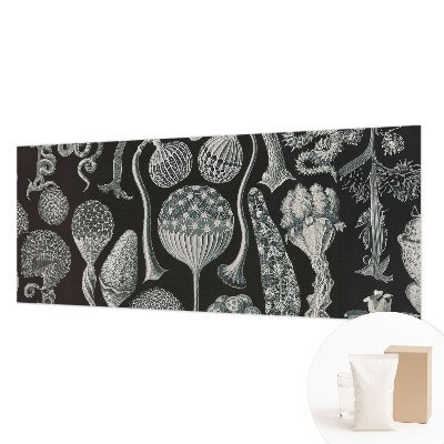 Dekoratívna fototapeta na stenu Magické rastliny