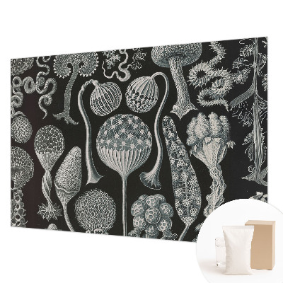 Dekoratívna fototapeta na stenu Magické rastliny