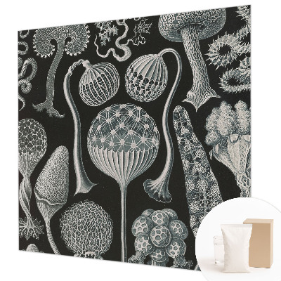 Dekoratívna fototapeta na stenu Magické rastliny