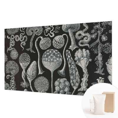 Dekoratívna fototapeta na stenu Magické rastliny