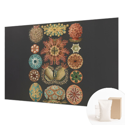 Vliesová fototapeta do spálne Morské inšpirácie