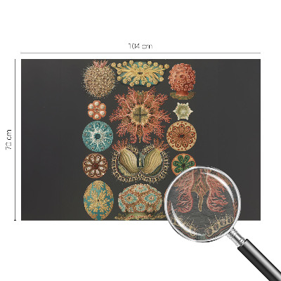 Vliesová fototapeta do spálne Morské inšpirácie