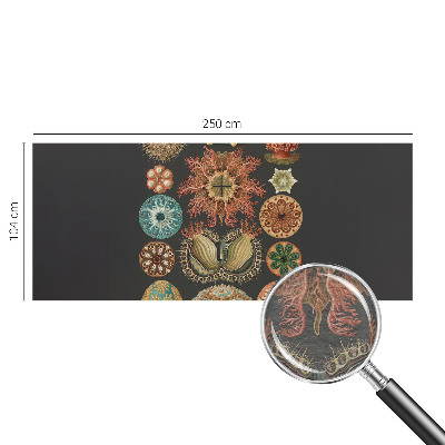 Vliesová fototapeta do spálne Morské inšpirácie