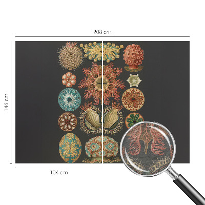 Vliesová fototapeta do spálne Morské inšpirácie