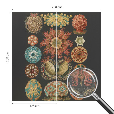 Vliesová fototapeta do spálne Morské inšpirácie