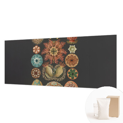 Vliesová fototapeta do spálne Morské inšpirácie