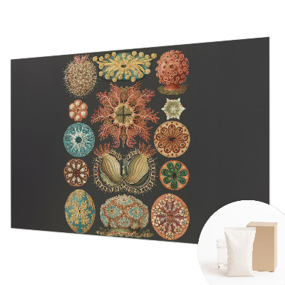 Vliesová fototapeta do spálne Morské inšpirácie