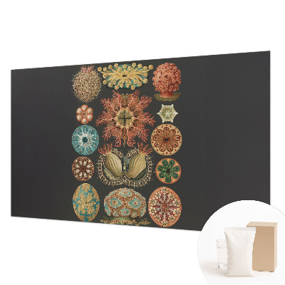 Vliesová fototapeta do spálne Morské inšpirácie