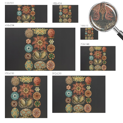 Vliesová fototapeta do spálne Morské inšpirácie