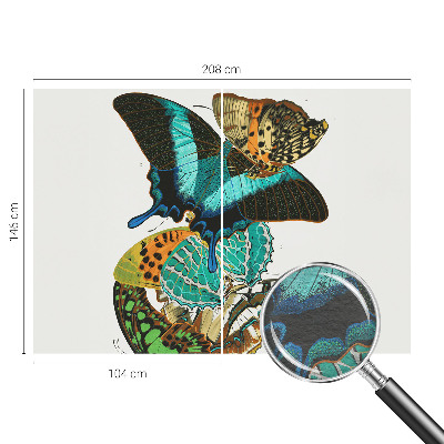 Fototapeta na mieru do spálne Farebné motýle