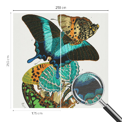 Fototapeta na mieru do spálne Farebné motýle