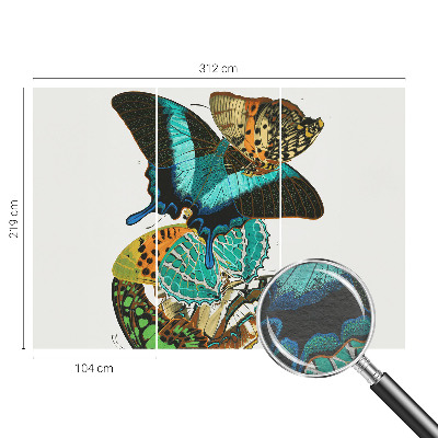 Fototapeta na mieru do spálne Farebné motýle