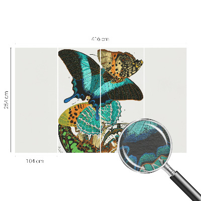 Fototapeta na mieru do spálne Farebné motýle