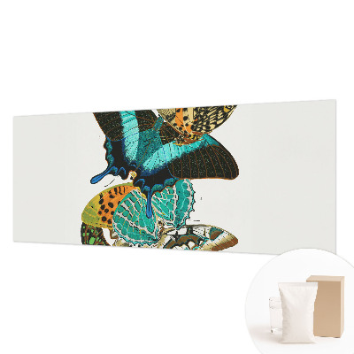 Fototapeta na mieru do spálne Farebné motýle